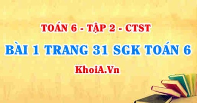 Bài 1 trang 31 SGK Toán 6 Tập 2 Chân trời sáng tạo